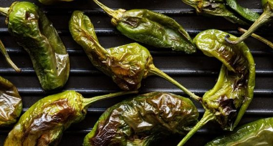 Grilled,Green,Padrons,Peppers,On,The,Grill,Plate,,Top,View