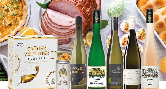 Vår Vin Hubspot Webb