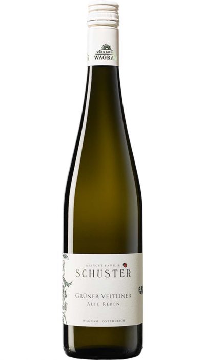 Vitt Vin Weingut Familie Schuster Grüner Veltliner Alte Reben 2018