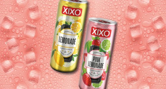 Xixo Lemonade Hubspot